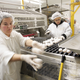 Juana Plascencia (L) and Neomi Morrales sort and remove damaged eggs after they have been pasteurized at the National Pasteurized Eggs (NPE) processing facility March 22, 2006 in Lansing, Illinois.
